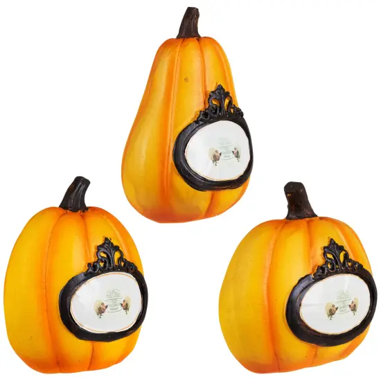 Northlight "Thanks, Today, Tomorrow, Always" Fall Harvest Pumpkin Decorations - 5.5" - Set of 3 Orange {5}