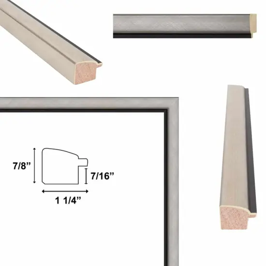 Contemporary Silver With Black Picture Frame 22x28 frame {4}