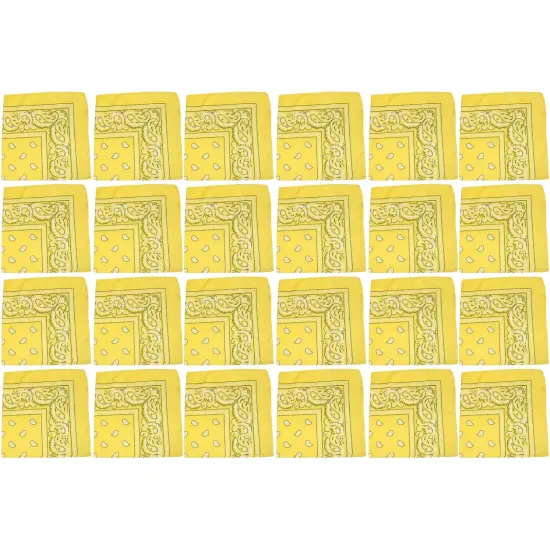 24 Pack Polyester Paisley Bandanas Bulk Pack for Group Activities {1}