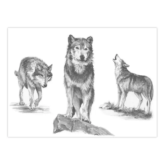 SKBNL2 | Sketching Made Easy™ Wolves 10pc 11.25" x 15.375" Sketching Art Project {2}