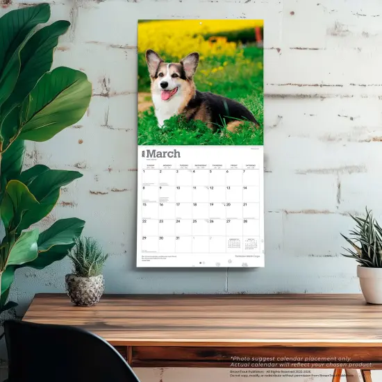 Pembroke Welsh Corgis | 2026 12 x 24 Inch (Hanging) Monthly Square Wall Calendar | Plastic-Free {5}