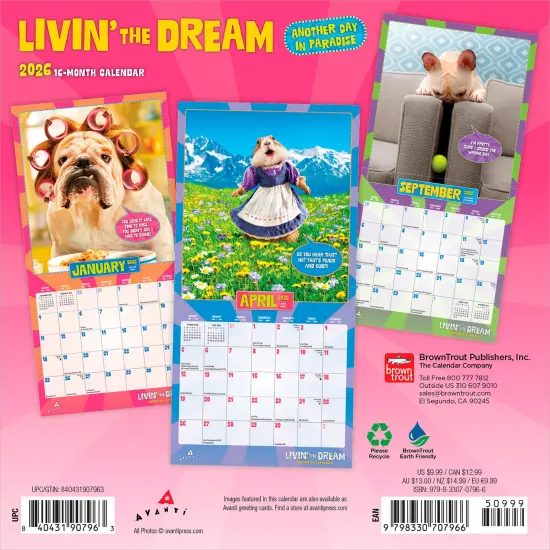 Avanti Livin' the Dream OFFICIAL | 2026 7 x 14 Inch (Hanging) Monthly Mini Wall Calendar {2}