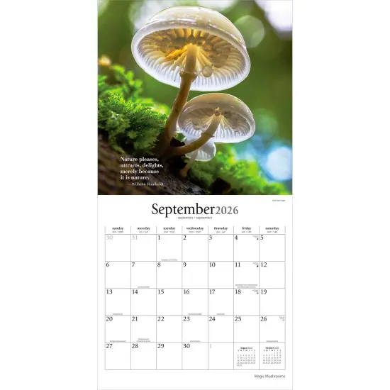 Magic Mushrooms | 2026 12 x 24 Inch (Hanging) Monthly Square Wall Calendar | Plastic-Free {4}