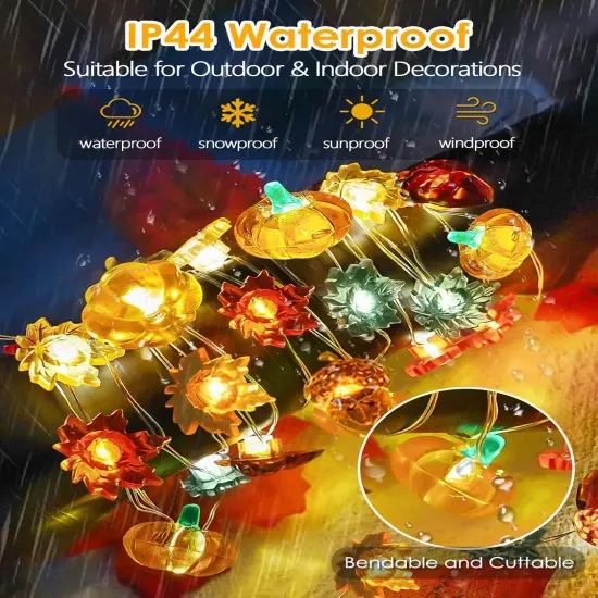 3D Pumpkin Acorn Maple Leaf Fairy Lights {3}