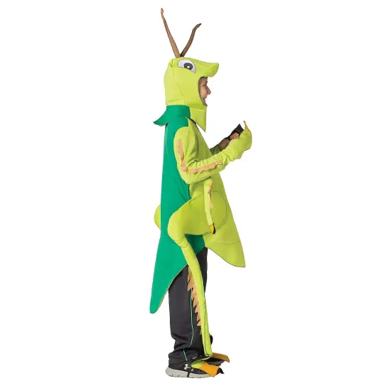Playful Grasshopper Costume for Kids with Antennae Headpiece {3}
