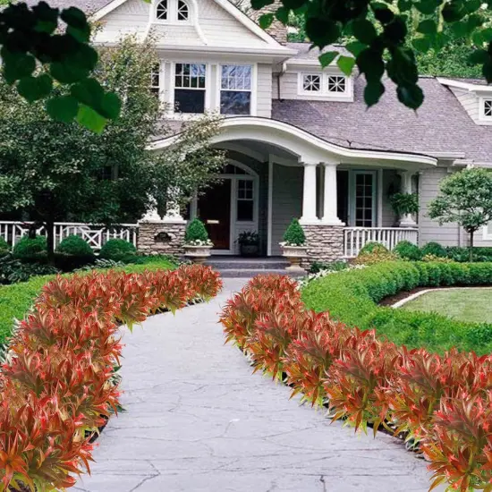 8 Artificial Fall Fake Monkey Grass with Flowers - Red {2}