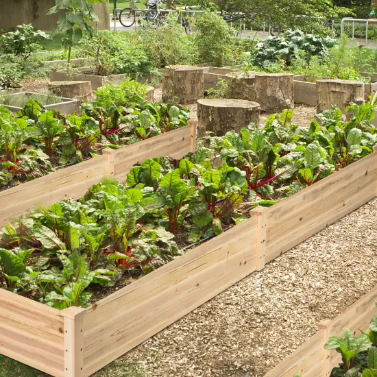 Costway Wooden Raised Garden Bed Outdoor Wood Planter Box for Vegetables Flowers Fruit {2}