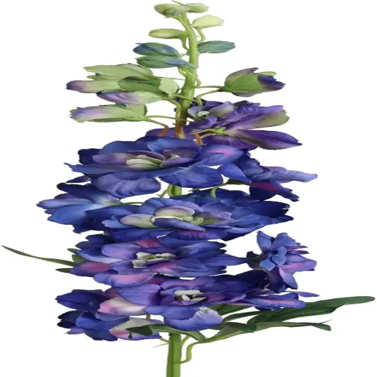 Lavender 36.5" Delphinium Stem {1}