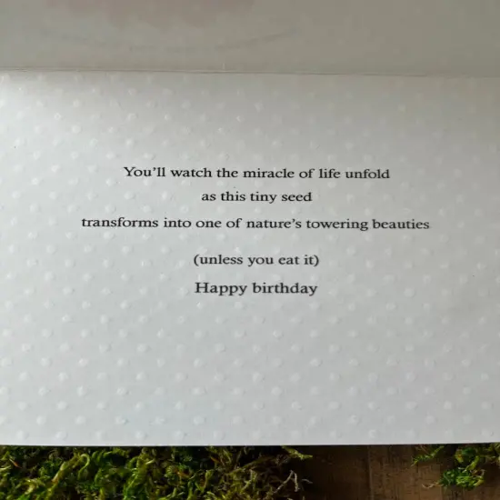 Happy Birthday - Sunflower {2}