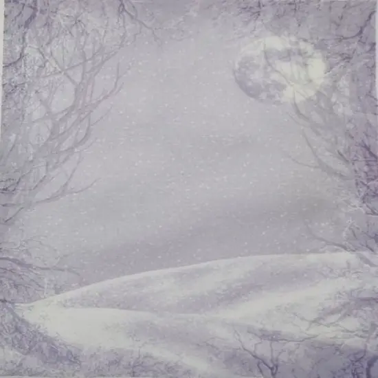 Moonlit Snow Designer Printed AIDA Fabric. Canvas for embroidery with an applied backgroundKF-1288A {1}