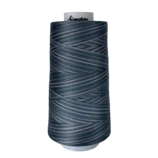 M81 Smokey Blues Signature Cotton Variegated Thread {1}