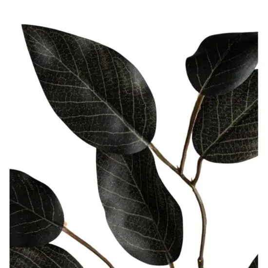 23" Silk Ficus Spray: Black (Set of 12) {3}