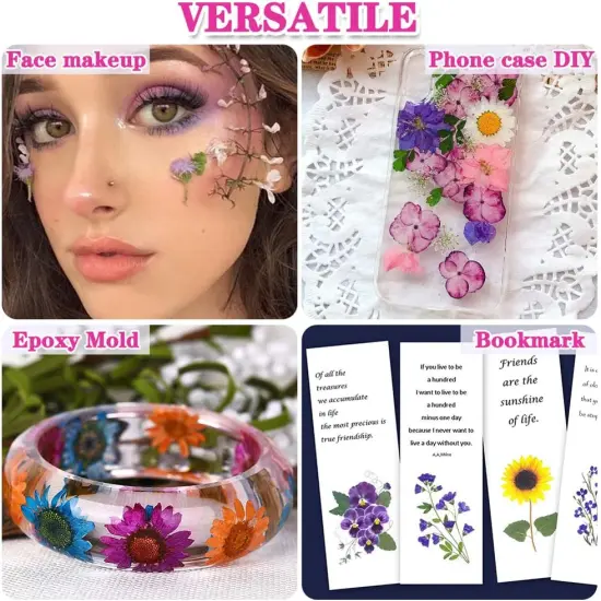 170Pcs+ Real Dried Pressed Flowers Leaves Petals for Crafts-Beautiful Pressed Flowers Daisies for Resin Jewellery {4}