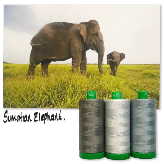 Aurifil Sumatran Elephant Color Builder Thread Set by Aurifil | (3 40wt Cotton Large Spools.) {1}