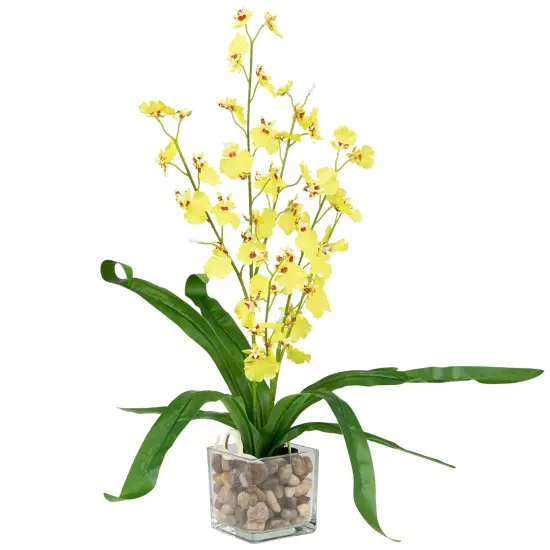 Northlight 23.5" Yellow Potted Artificial Oncidium Orchid Flower Plant Green {4}