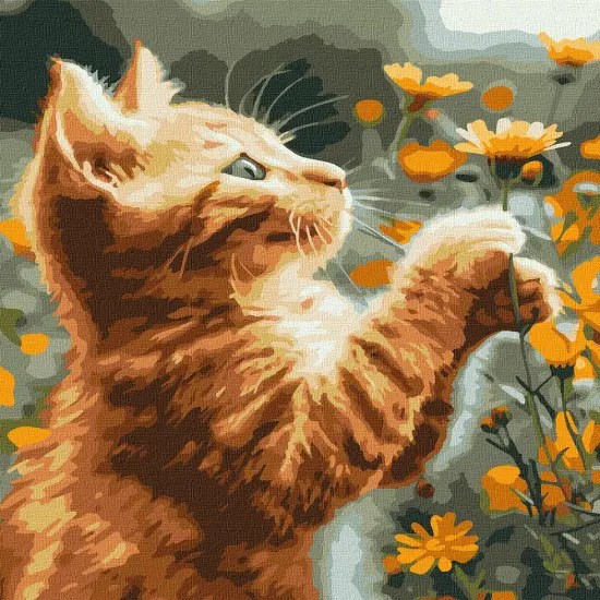 Painting by Numbers kit Red fluffy KHO6607 {3}