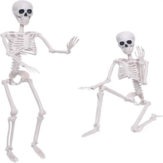 3Ft Halloween Skeleton - 16 Inches {1}