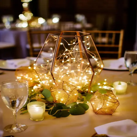 4 Pack 20 Ft 60 LED Fairy Lights Battery Operated Christmas Lights {2}