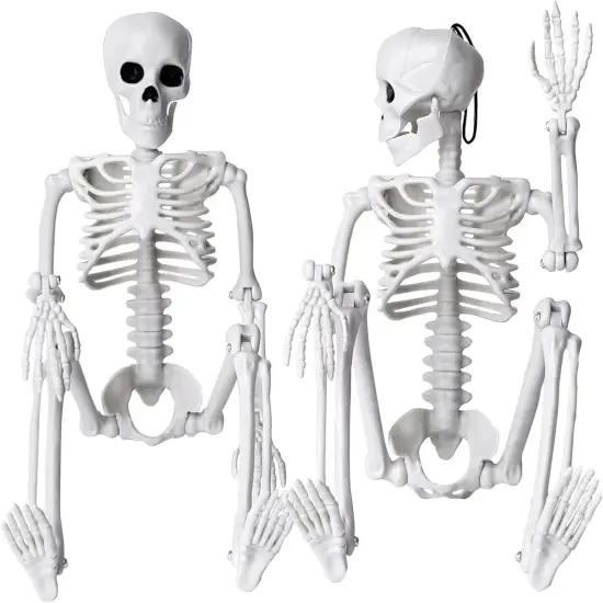 2pcs 16&rdquo; Skeleton Halloween Decoration {1}