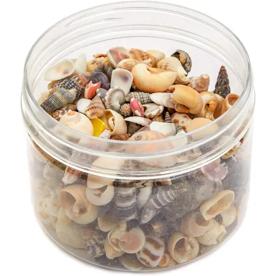 Tiny Sea Shells Mixed Ocean Beach Spiral Seashells Craft Charms for Home Decorations, Beach Theme Party, Candle Making, Wedding Decor, DIY Crafts, Fish Tank and Vase Filler(1-2.5cm),680-700pcs {4}