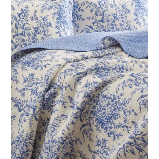 King Size Cotton Quilt Set Blue White Floral Leaves Pattern {2}