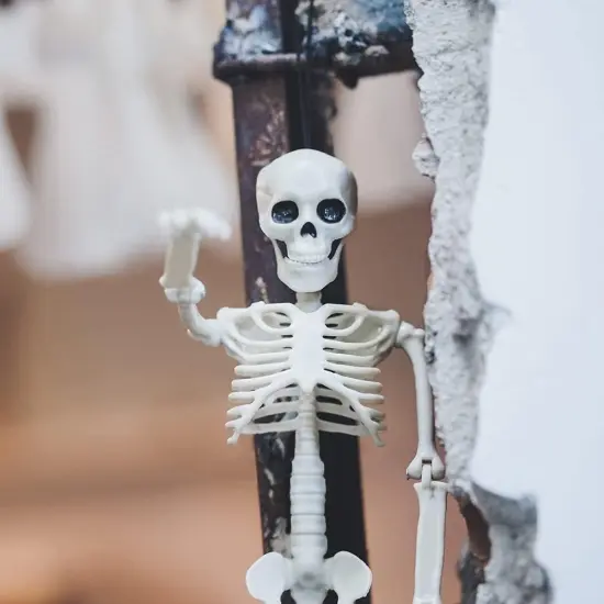 5Pcs Hanging Skeleton Halloween Decorations - 16 Inches {5}