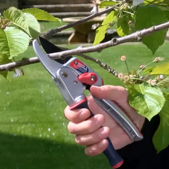 Spear & Jackson Razorsharp Ratchet Anvil Pruners with Twist Handle, Ergonomic High-Carbon Steel Blades for Effortless Pruning {5}