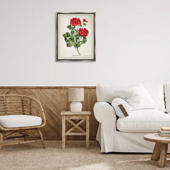 Stupell Industries Vivid Red Geranium Blossoms Floating Frame By Danielle Murray {2}