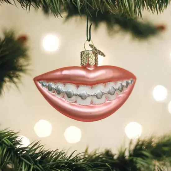 Old World Christmas 1.75 In Braces Christmas Tree Ornament , Healthy Strong Teeth Pink {3}