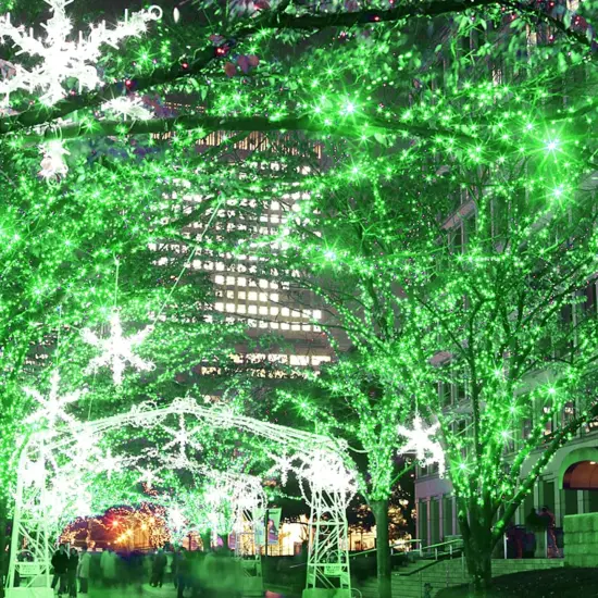 200 LED 66FT Christmas String Lights, St Patricks Day Fairy Lights with 8 Lighting Modes, String Mini Lights Plug in for Indoor Outdoor Tree Garden Wedding Party Decoration, Green {2}