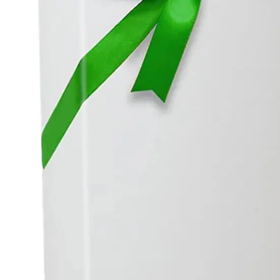 Clean & Simple Solid Color Gift Wrap 30" x 833' Roll {2}