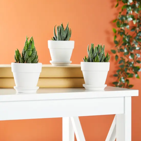 3 Inch 12 Pack White Clay Mini Terracotta Pots with Saucers and Drainage Hole, Paintable Pottery for Succulents, Planter, Flowers, Cactus, Garden Crafts, and Wedding Decor {4}