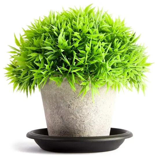 24 Pack Small Plastic Plant Saucers for Pots, 4 Inch Drip Tray for Planter, Indoor, Outdoor Flowers (Black) {5}