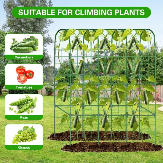 Garden Cucumber Trellis for Raised Bed, 65"&times;50" {5}