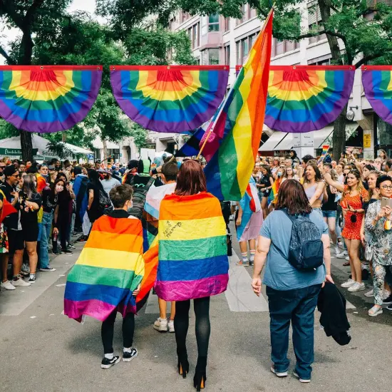 8PCS Pride Bunting Flag - 3 x1.5 Ft Rainbow Pleated Fan Flag Banner Rainbow Polyester Flag for Holiday Outdoor Hanging Decor {3}