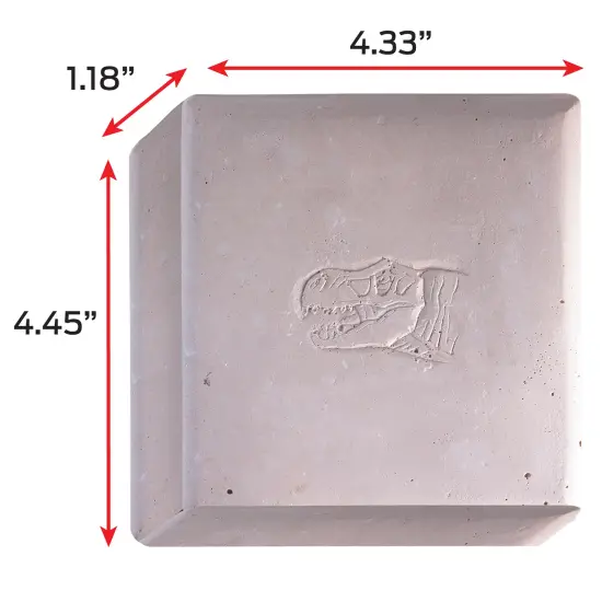 WowWorld: Dino Dig - Tyrannosaurus Rex - All-In-One Dinosaur Skeleton Excavation Kit, Tools & Construction Figurine, Educational Science Toy, Kids 6+ {6}