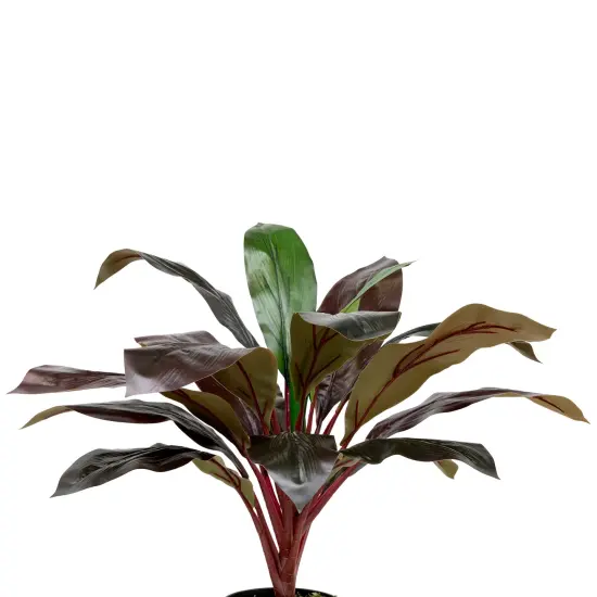 Northlight Real Touch&trade;️ Red and Green Artificial Dracaena Potted Plant - 23" {4}