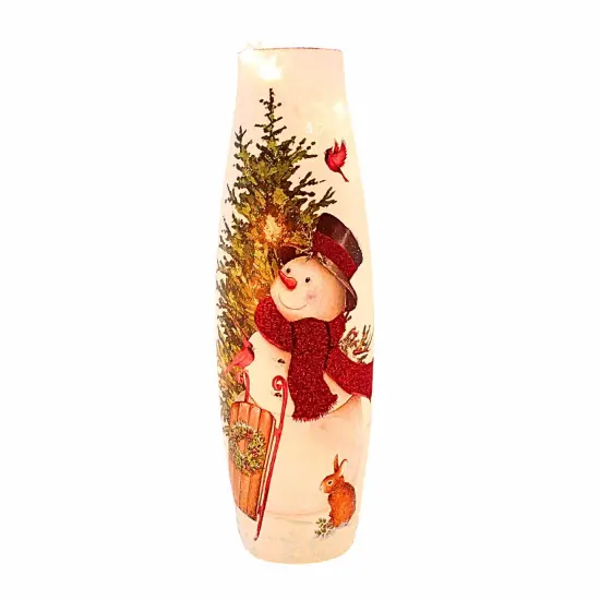 Stony Creek 16.0 Inch Delightful Snowman Pre-Lit Giant Vase Christmas Lighted Glass Accent , Christmas Decor Sled Cardinals Bunny Snow Multicolored {1}