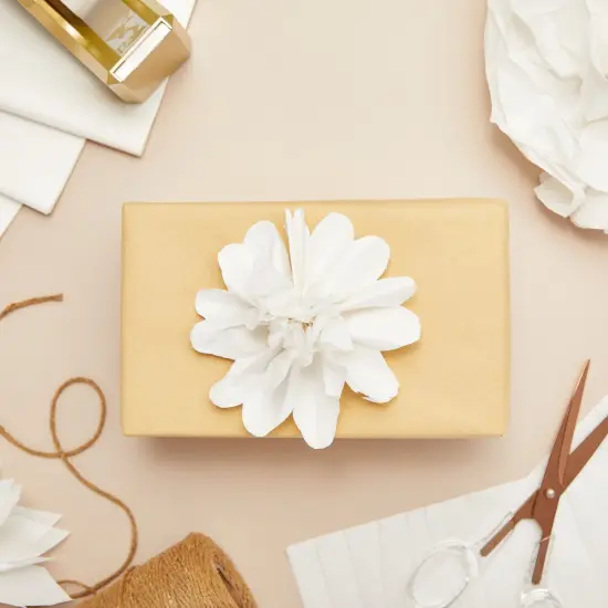 160 Sheets White Tissue Paper for Gift Wrapping Bags, Bulk Set for Birthdays, Weddings, Holidays, Art Crafts, 15 x 20 Inches {2}