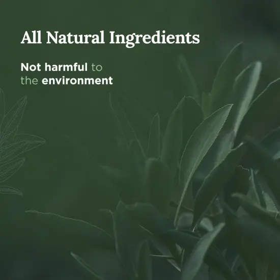 Magnificent 101 Long Lasting Pure Sage Smudge Candle | 6 Oz - 35 Hour Burn Time | Made of Soy Wax for House Energy Cleansing, Aromatherapy & Manifestation - Spiritual Gifts for Women Multicolor {3}