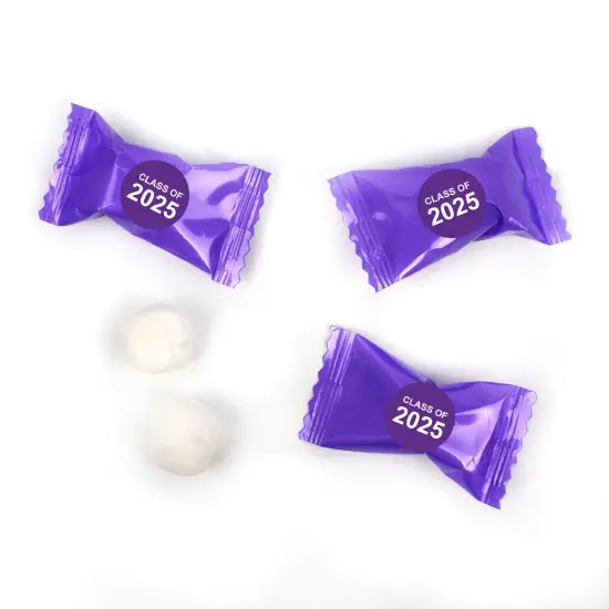 Purple Graduation Candy Mints Party Favors Individually Wrapped Buttermints Class of 2025 - 55 Pcs {1}