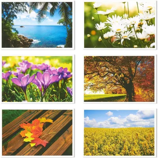 Best Paper Greetings 40 Pack Nature Postcards for Mailing, 4x6 Blank Scenic Postcards with 20 Assorted Landscape Photos, Pretty Post Cards for Travel, Crafting, Greeting Cards Multicolor {6}