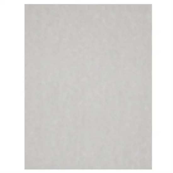 Best Paper Greetings 96 Sheets Grey Parchment Paper for Certificates, Resumes, Diplomas, 90 GSM Textured Stationary, Printer-Friendly - Gray Papers for Printing 8.5 x 11 inch {7}