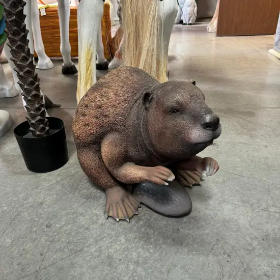 Beaver Life Size Statue {6}