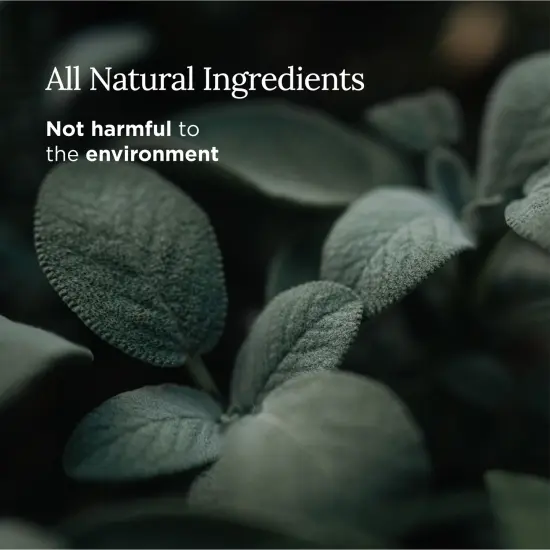 Long Lasting Pure White Sage Scented Candle - 6 oz - 35 Hour Burn - Natural Soy Wax Smudge for House Energy Cleansing, Positive Vibes & Manifestation {3}