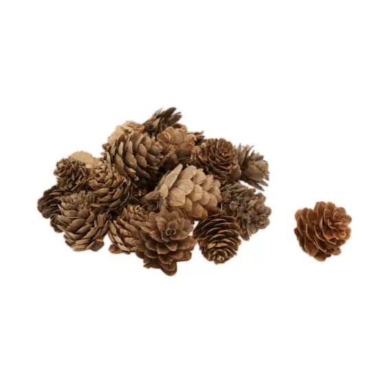 8 inch Wreath DIY Kit with 2 Craft Foam Rings, Burlap Ribbon, Berries, Pinecones (75 Pieces Set) Brown {5}