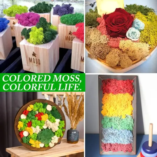Preserved Moss for Crafts Green Reindeer Moss for Potted Plants, Craft Decorative Moss Decor for Wall Art, Dried Moss {4}