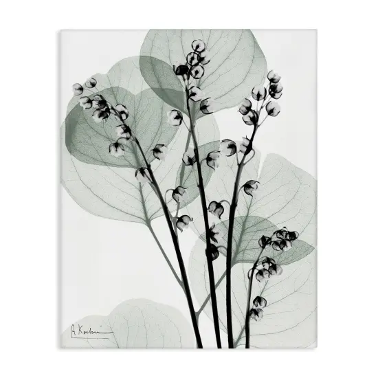 Stupell Industries Fresh Minimalist Herbs Canvas Design by Albert Koetsier {1}