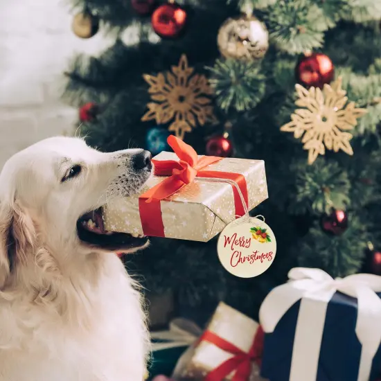 Wooden Christmas Ornaments to Paint Christmas Round Decoration Cutouts Unfinished 24PCS 3.5 x 3 inches, DIY Blank Unfinished Christmas Tree Wood Discs Ornament for Home Crafts Hanging {6}