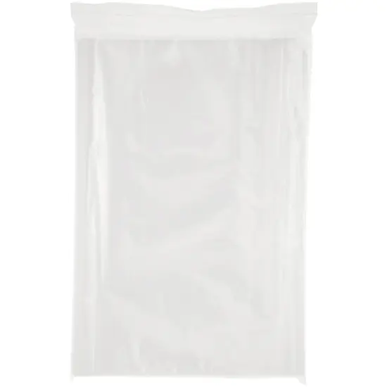 Plymor 20" x 24", 2 Mil Zipper Reclosable Plastic Bags {4}